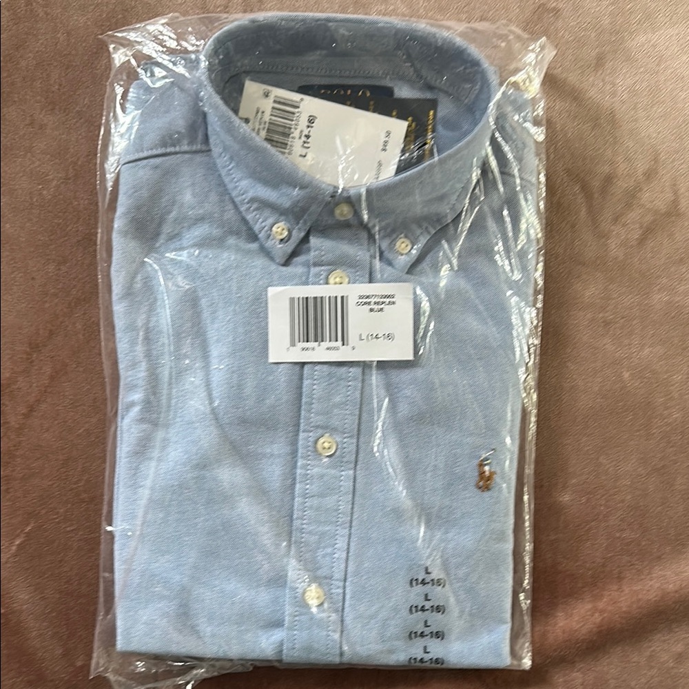 Polo by Ralph Lauren Blue Casual Button Down Shirt